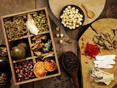 Traditional Chinese Medicine Mycology